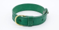 Preview: Halsband Hund Leder breit grün Hundehalsband