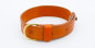 Preview: Halsband Hund Leder breit orange Hundehalsband