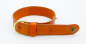 Preview: Halsband Hund Leder breit orange Hundehalsband