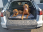 Preview: Schondecke DELUXE Hund Audi A6 Hundetransport