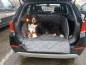 Preview: Schondecke Hund BMW X1 Hundetransport Kofferraum