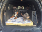 Preview: Hundetransport Kofferraum Ausbau Mercedes Benz GL für Hunde