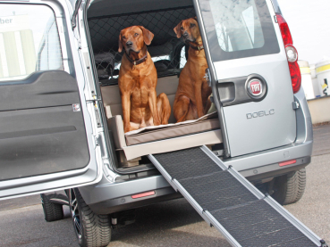 Kofferraum Ausbau Fiat Doblo für Hunde