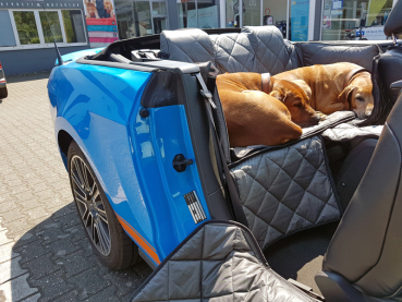 Hundetransport Rückbank Ford Mustang Cabrio für Hunde