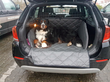 Schondecke Hund BMW X1 Hundetransport Kofferraum