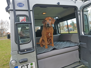 Hundetransport Kofferraum Ausbau Land Rover Defender für Hunde mit Hunderampe