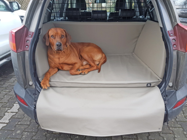 Hundetransport Kofferraum Ausbau Toyota RAV4 für Hund