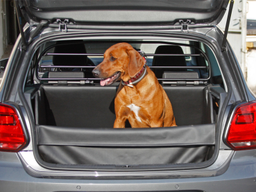 Hundetransport Kofferraum Ausbau VW Volkswagen Polo für Hunde