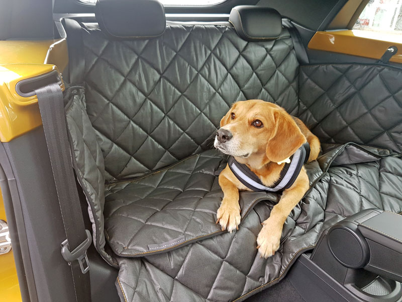 Rückbankausbau für Hunde VW Beetle Cabrio