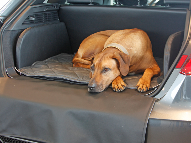Kofferraumausbau Fur Hunde Audi A3