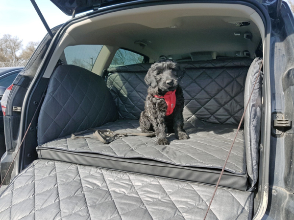 Schondecke Hund Ford S-Max Hundetransport