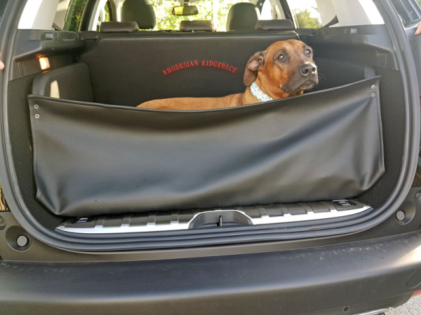 Hundetransport Kofferraum Ausbau Peugeot 2008 für Hunde