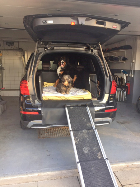 Hundetransport Kofferraum Ausbau Mercedes Benz GL für Hunde