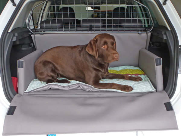 Hundetransport Kofferraum Ausbau VW Volkswagen Golf für Hunde