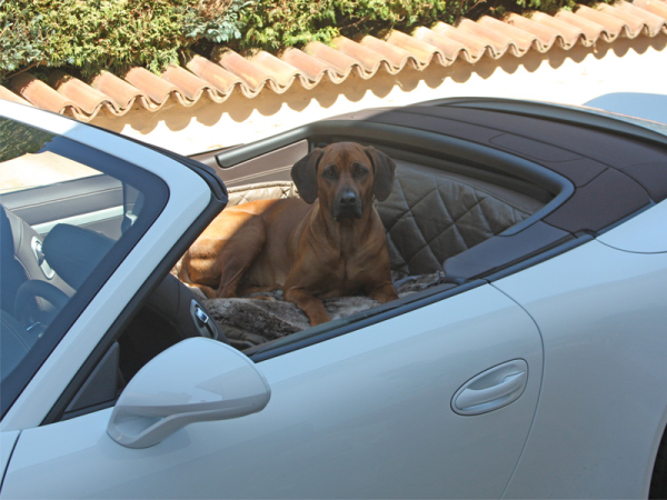 Rückbank Ausbau Porsche 911 991 Cabrio für Hunde