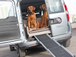 Kofferraumausbau für Hunde - Fiat Doblo