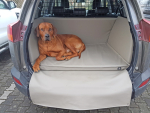 Kofferraumausbau für Hunde - Toyota RAV4